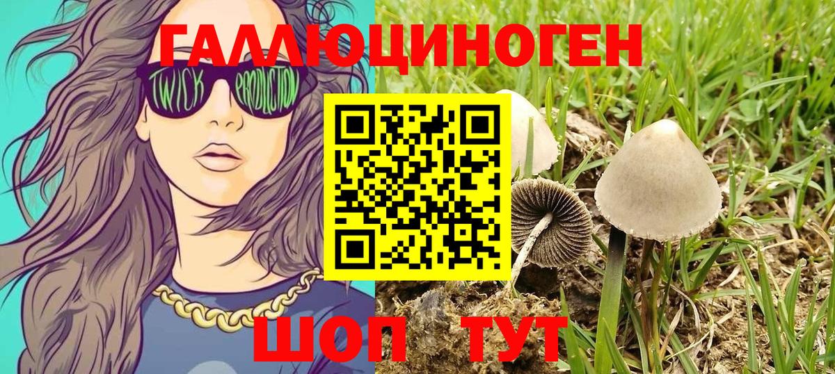 Галлюциногенные грибы Magic Shrooms  где можно купить наркотик  Канаш  Вход с VPN 